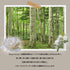 FRAMA Deep Forest Eau de Parfum 50 ml